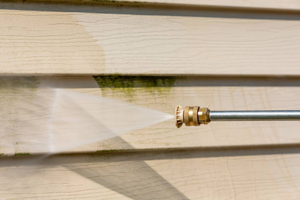 Best Residential Pressure Washing Services  in Independence, WI